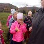 phoca_thumb_m_drak 4 Fotogalerie
